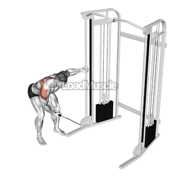 Cable One Arm Reverse Fly