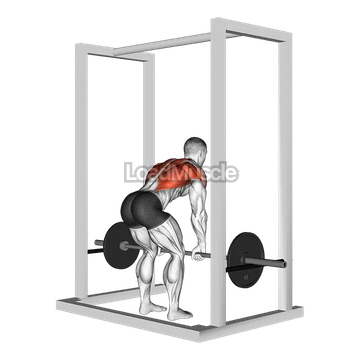 Barbell Deadstop Row with Rack