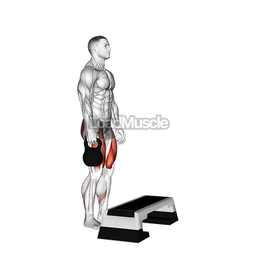 Kettlebell Single Leg Step-Up