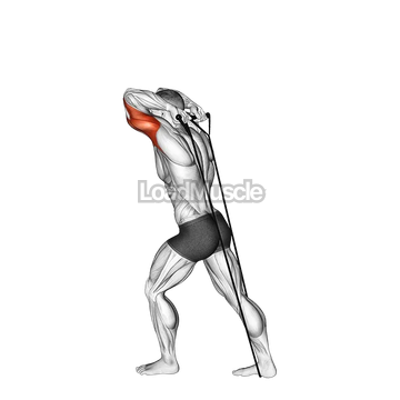 Band Overhead Triceps Extension