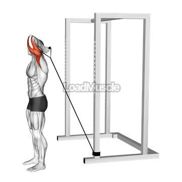 Band Overhead Single Arm Triceps Extension