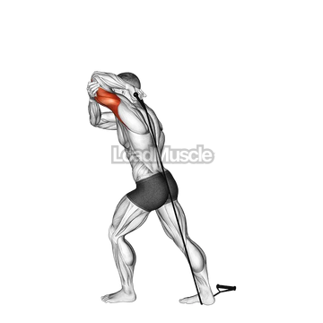 Band Overhead Single Arm Triceps Extension