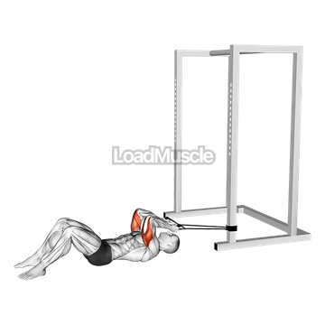 Band Lying Reverse Grip Pressdown