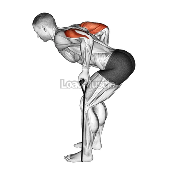 Band Triceps Kickback