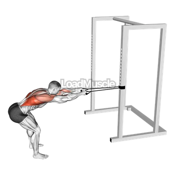 Band Bent Over Lat Pulldown