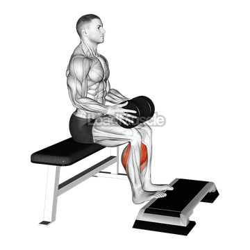Weighted Seated Calf Raise