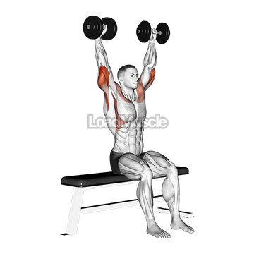 Dumbbell Seated Front and Back Tate Press