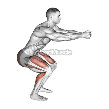 Squat Hold Calf Raise