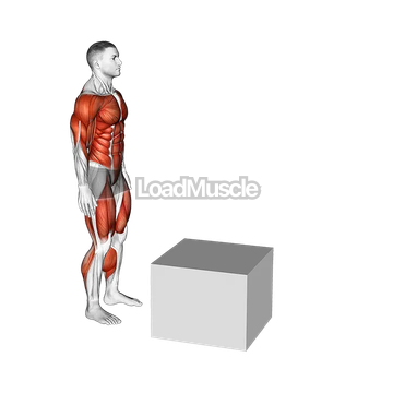 Jump Pistol Squat Box