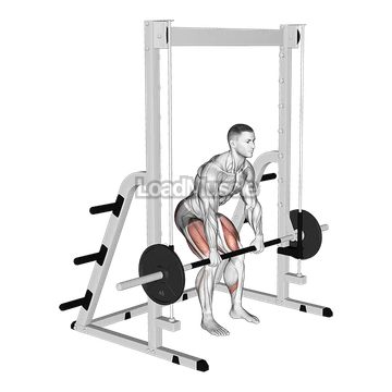 Smith Rack Pull
