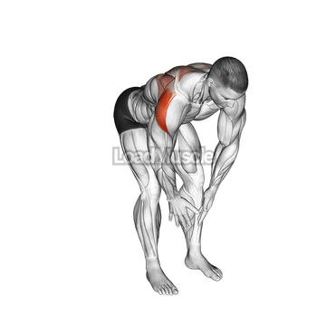 Bodyweight Bent Over Rear Delt Fly