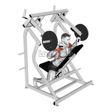 Lever Reverse Shoulder Press (plate loaded)
