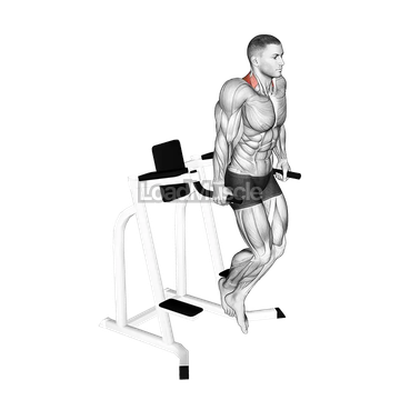 Shrug (on parallel bars)