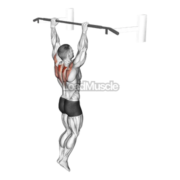 Hanging Scapular Shrug