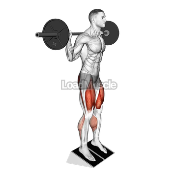 Barbell Elevated Heel Squat