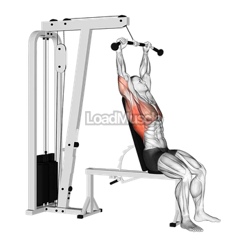 Cable Seated Pullover