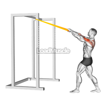 Resistance Band Rear Delt Row