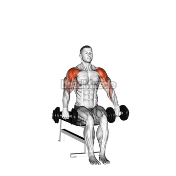 Dumbbell Seated Cuban Press