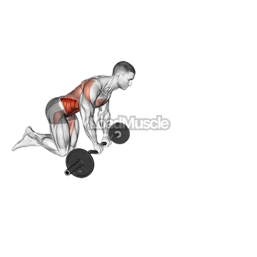 EZ Bar Knelling Rollout