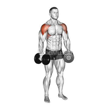 Dumbbell Partials Lateral Raise