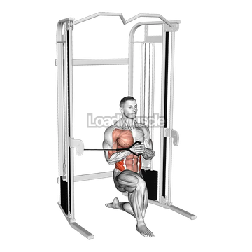 Cable Half Kneeling Pallof Press