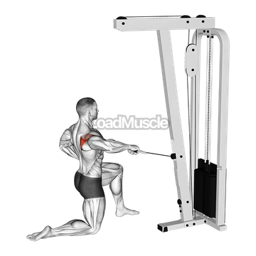 Cable Half Kneeling External Rotation