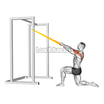 Resistance Band Half Kneeling Face Pull