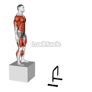 Depth Jump to Hurdle Hop