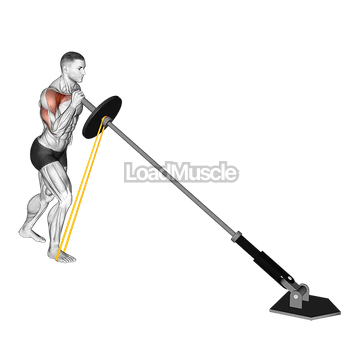 Landmine Resistance Band One Arm Shoulder Press