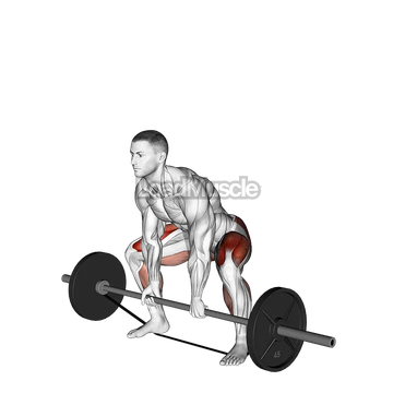 Barbell Banded Sumo Deadlift