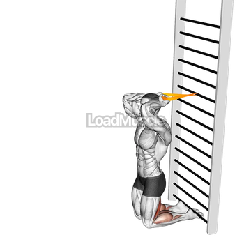 Resistance Band Assisted Nordic Hamstring Curl