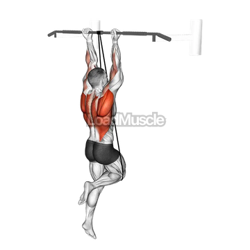 Band Assisted Chin-Up (From Knee)