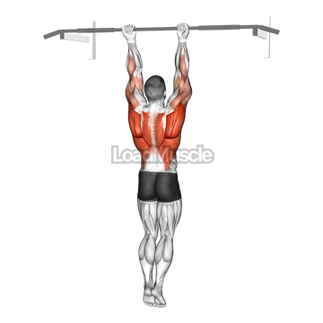 Chin-Up Around the Bar