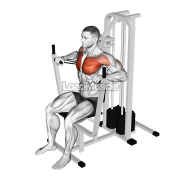 Lever Banded Chest Press