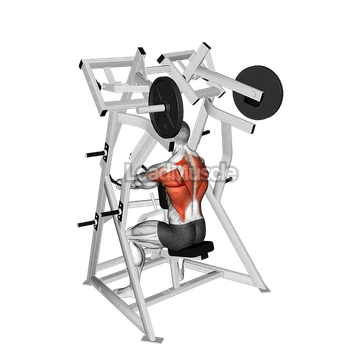 Lever Low Row (plate loaded)