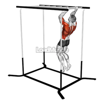 Climbing Monkey Bars