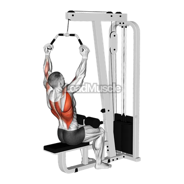 Cable Wide Neutral Grip PullDown