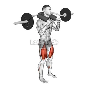 Safety Bar Front Squat