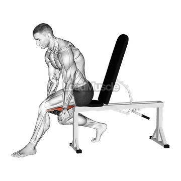 Tiger Tail Hamstring