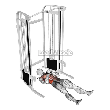 Cable Lying Pallof Press