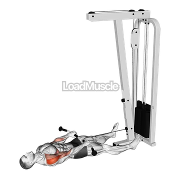 Cable Lying Upright Row