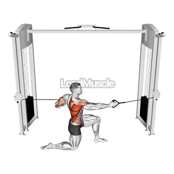 Cable Half Kneeling Push Pull