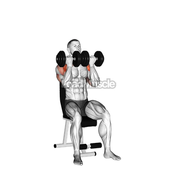 Dumbbell Seated Close Grip Press