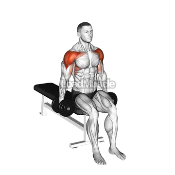 Dumbbell Seated Lateral to Front Raise