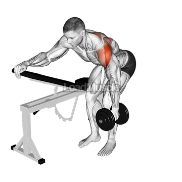 Dumbbell One Arm Reverse Fly (with support)