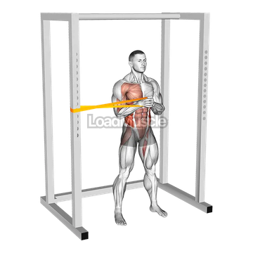 Resistance Band Horizontal Pallof Press