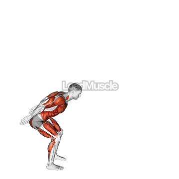 Broad Jump to Vertical