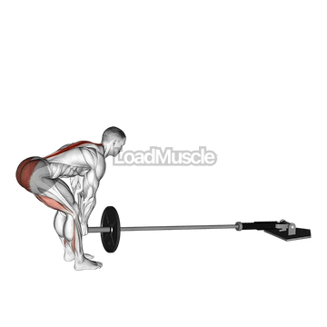 Landmine Romanian Deadlift