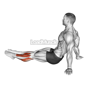 Feet and Ankles Stretch