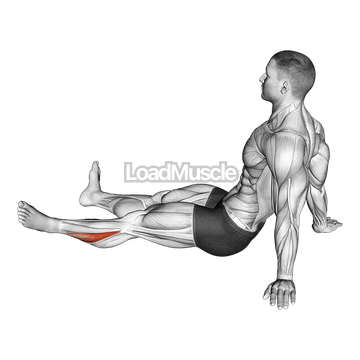 Feet and Ankles Rotation Stretch